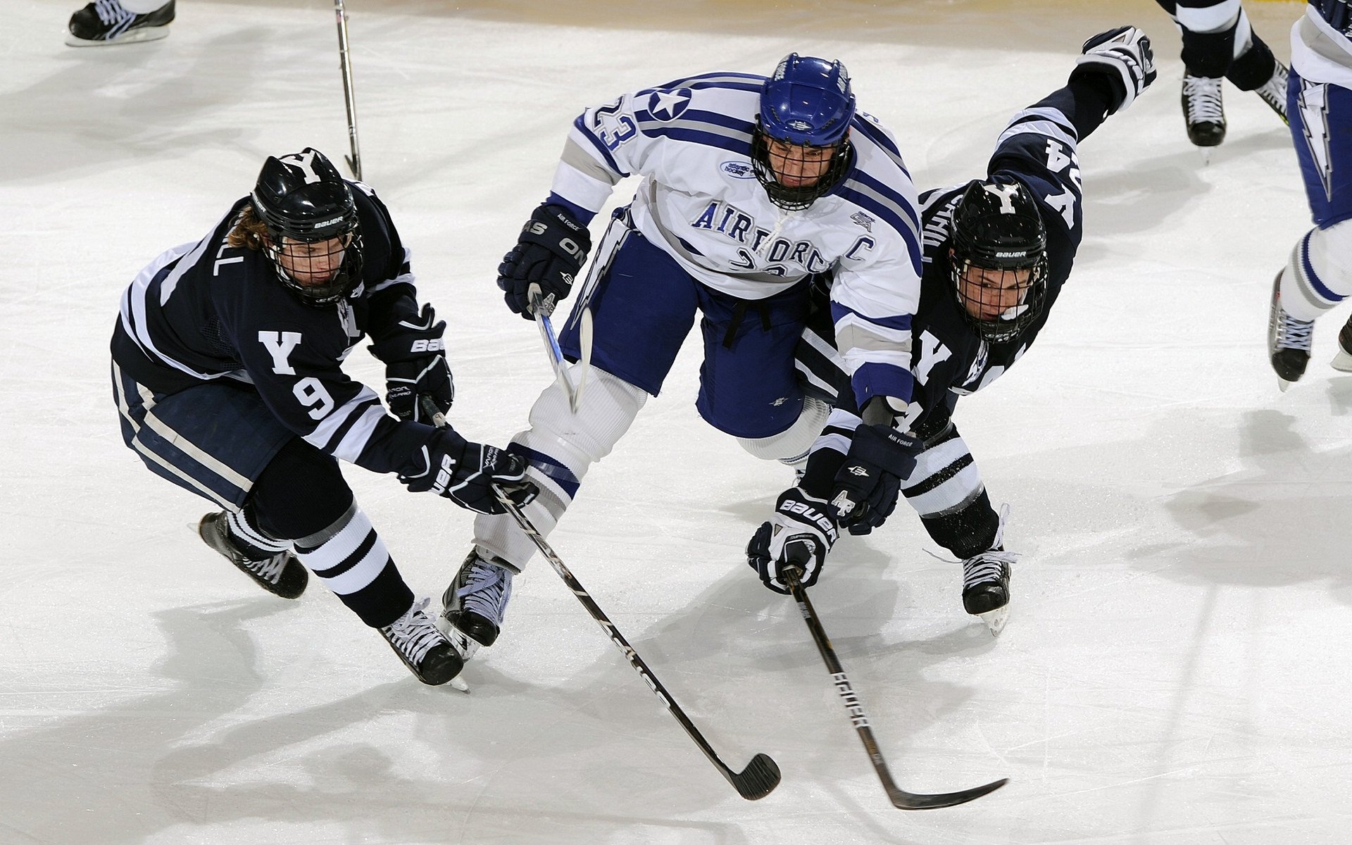 企事业单位登高节 一起登楼为公益项目筹款